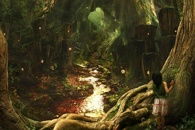 Fable Forest « Free Wallpapers 1920x1200 Download Desktop Pictures HD