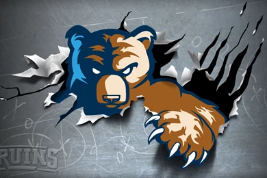 Lindsey Bruins   Pictures, News, Information From The Web