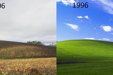 TIL That XP's Wall Paper Bliss Was Taken In 1996, Here's A Picture ...