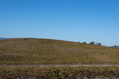 Bliss  The Most Viewed Picture Ever Taken