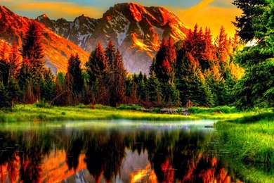 Download Beautiful Scenery Wallpapers