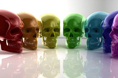 Colorful Skull – BUZZERG