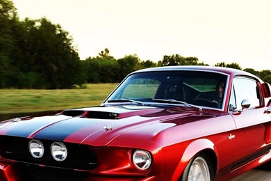 Download Wallpapers 2560x1024 Shelby, Gt500, Eleanor, Ford Mustang ...