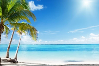Tropical Beach Paradise Wallpapers