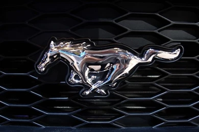 Cool Ford Mustang Logos   Image