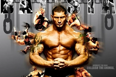 Wwe Superstars Images