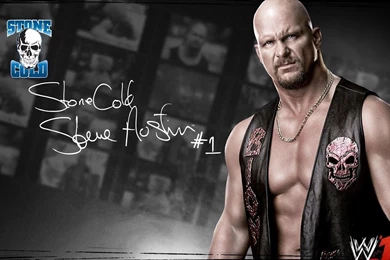 Latest WWE Superstars 2K15, 2K16 HD Wallpapers For Free