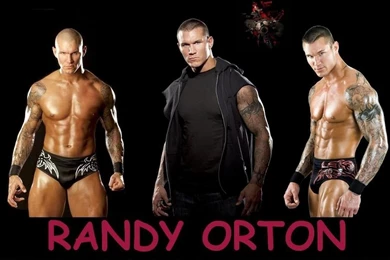 Wwe Superstars Wallpapers   HD Desktop Backgrounds   Page 8