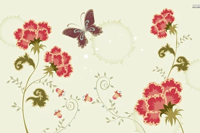 Carnations Wallpapers   Flower Wallpapers