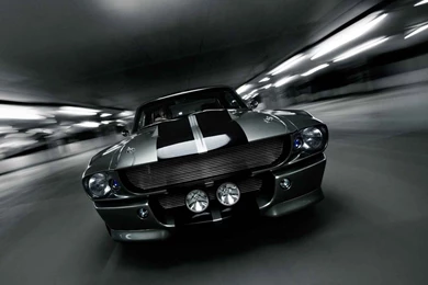 Ford Mustang GT500 2016   Image