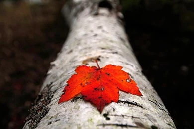 40 Breathtaking Photos From National Geographic Contest   Noupe