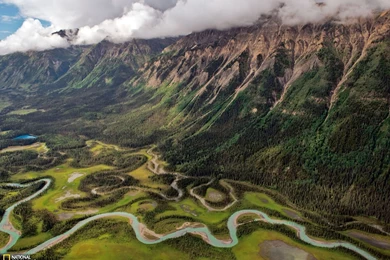 3737_1600x1200 wallpaper cb1320173687.jpg