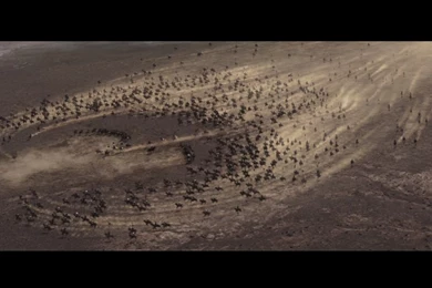 KINGDOM OF HEAVEN :: XOTOS :: OFFICIAL WEBSITE