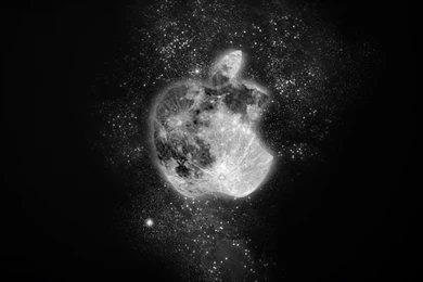 Apple Logo   Logos Pictures