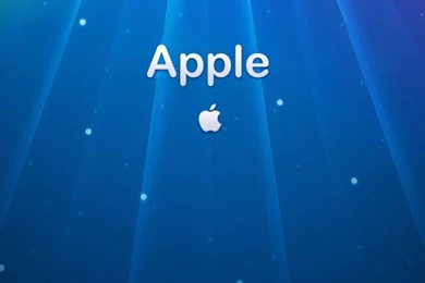 Effektive Rhubarb Grid Iphone 4 Wallpapers 640x960 Hd Wallpapers ...