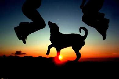 NAT GEO Wallpapers Collection 2