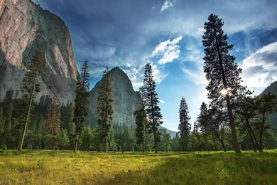 Yosemite National Park Wallpapers
