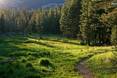 Yosemite National Park Wallpapers   Nature Wallpapers