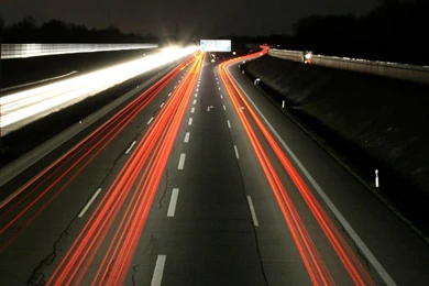 Colourful Toucan Blackberry Wallpapers 480x800 Mobile Phone Graphics