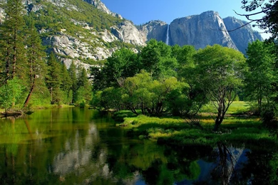 Yosemite National Park Yosemite   (