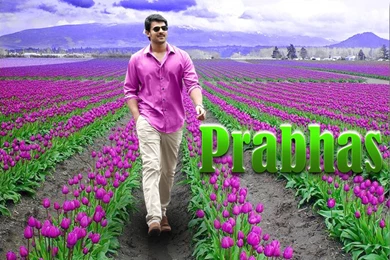 Prabhas Hdwallpapers 4   HDwallpaper4U.com