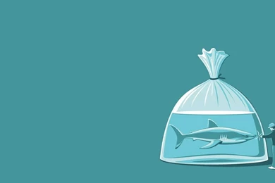 Stupidity Sharks Twitter Cover & Twitter Backgrounds