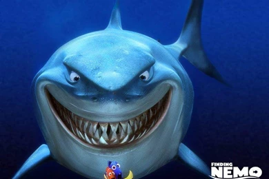 Download Anime Manga Cartoon Shark Wallpapers 1024x768