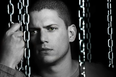 Michael Scofield. By AMBERx On DeviantArt