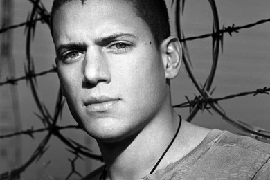 Michael   Michael Scofield Wallpapers (34549973)   Fanpop