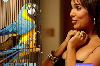 Free Movie Poster Download, Hindi Movie Picture, Film Photos ...