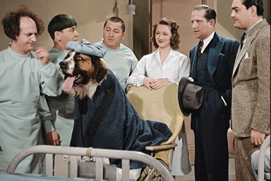 Three Stooges Wallpapers   Three Stooges Photo (23436833)   Fanpop