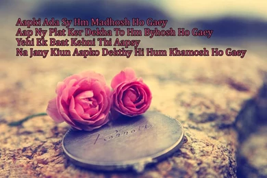 Free Download Hd Hindi Shayari Hd Wallpapers