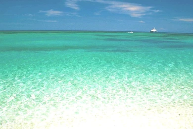 Amazing Beauty Of Sea Life: Beautiful Sea Wallpapers