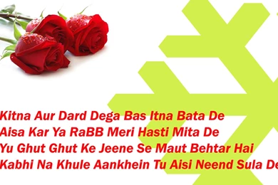 Love Hindi Shayari Hd Wallpapers   Wallpaperss HD