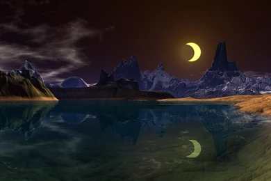 David Warner S Collection 5 – BUZZERG