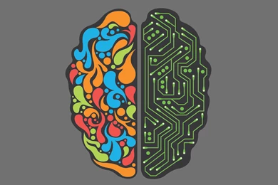 The Two Sides Of The Brain, Vector, 2560x1600 HD Wallpapers And ...