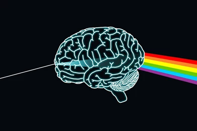 Pictures > Human Brain Wallpapers