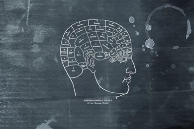 Gallery For   Human Brain Wallpapers