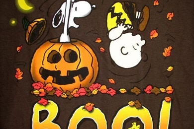 Snoopy And Charlie Brown