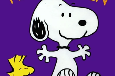 Snoopy Peanuts Flag