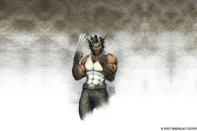 Latest 35 Wolverine HD Wallpapers For PC