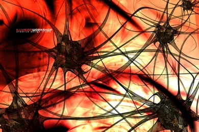 Wallpapers   Brain By Yomash   Customize.org