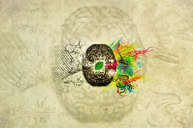 Alfa Img   Showing > Brain Wallpapers Desktop