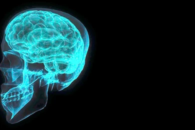 3D Brain Wallpapers Free HD