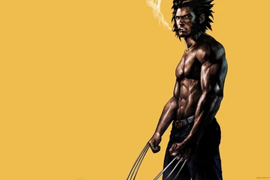 Wolverine Superhero Logo   Wallpaper.