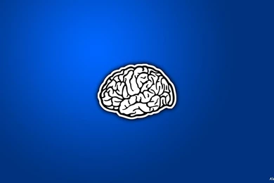 Brain, Blue Backgrounds   HD Wallpapers