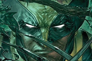 Wolverine Wallpapers   Comic Wallpapers