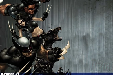 63 X 23 HD Wallpapers