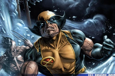 Wolverine Wallpapers 1080P   1835950