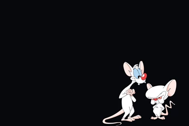 Pinky and the Brain Wallpapers.png